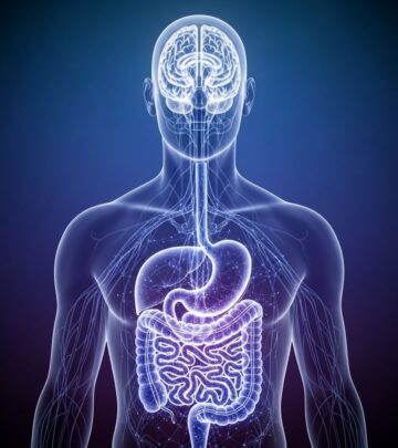 Discover the fascinating bidirectional communication between your gut and brain.