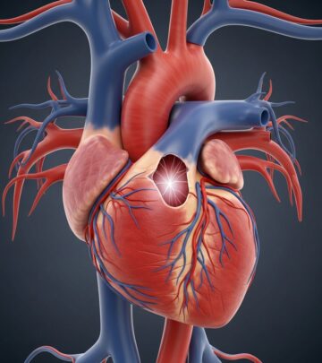 Understanding congenital heart defects: causes, symptoms, diagnosis, treatment, and living with CHD for better outcomes.