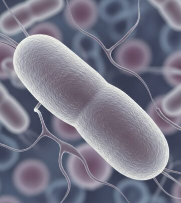 Discover the facts on chlamydia symptoms, transmission risks, effective treatments, and prevention strategies to protect your health.