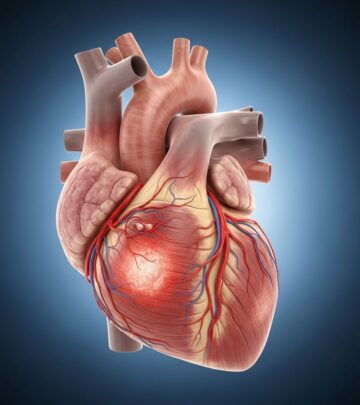 A comprehensive guide to myocarditis causes, symptoms, and treatment options.