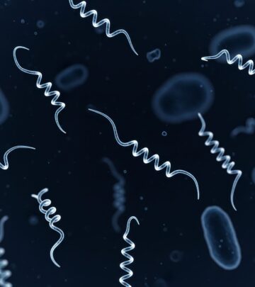 realted-article-image